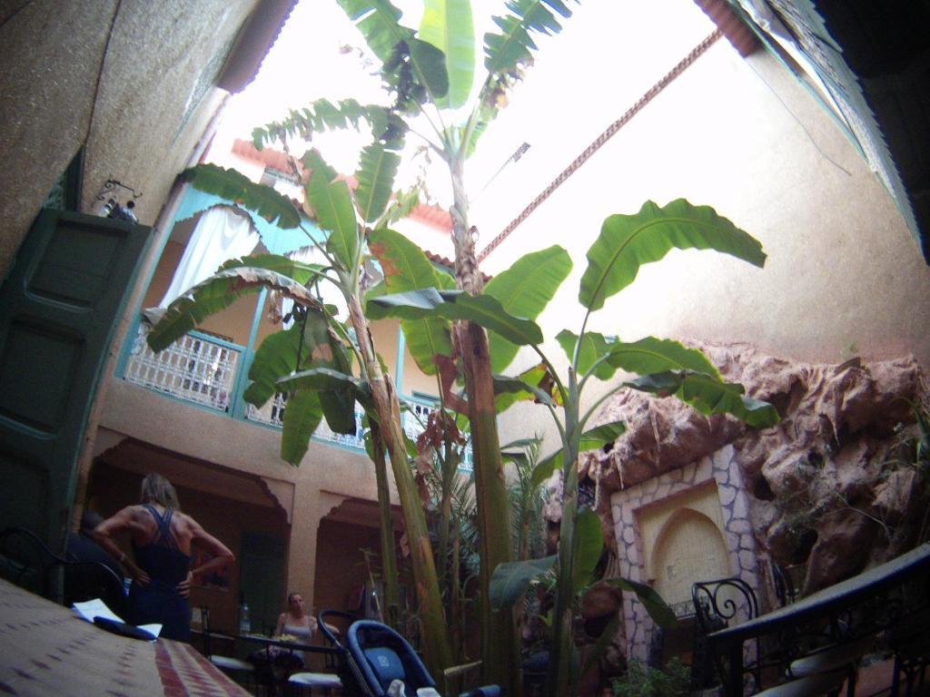 Riad Dar Mchicha Marrakesh Exterior foto