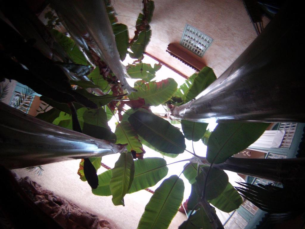 Riad Dar Mchicha Marrakesh Exterior foto