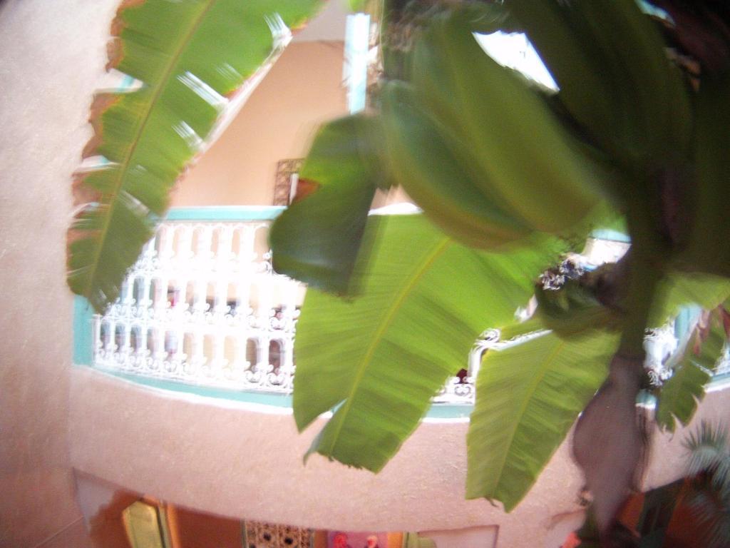 Riad Dar Mchicha Marrakesh Exterior foto