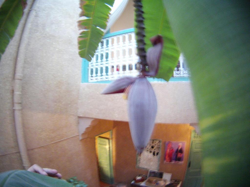 Riad Dar Mchicha Marrakesh Exterior foto