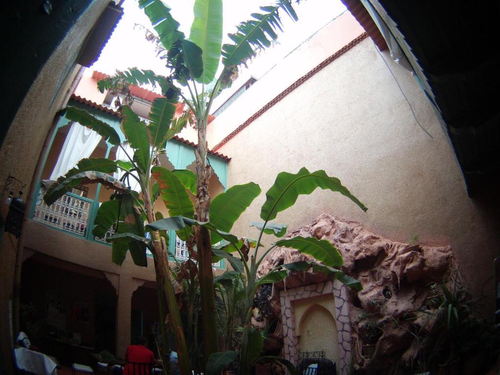 Riad Dar Mchicha Marrakesh Exterior foto