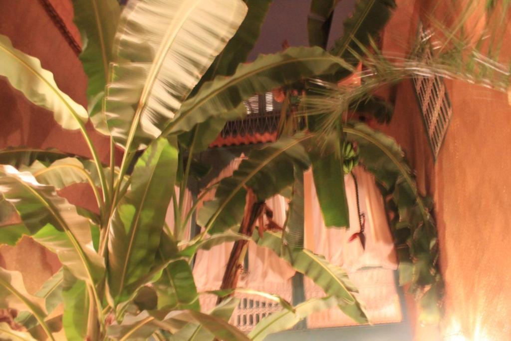 Riad Dar Mchicha Marrakesh Exterior foto